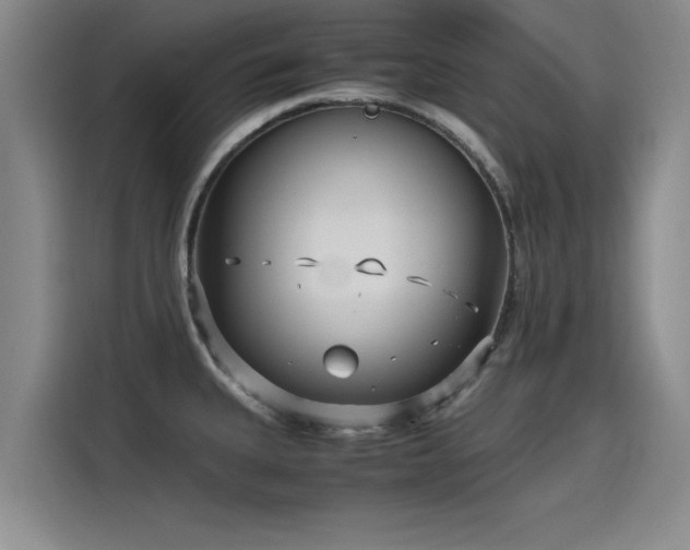 X0000115641335200911171414