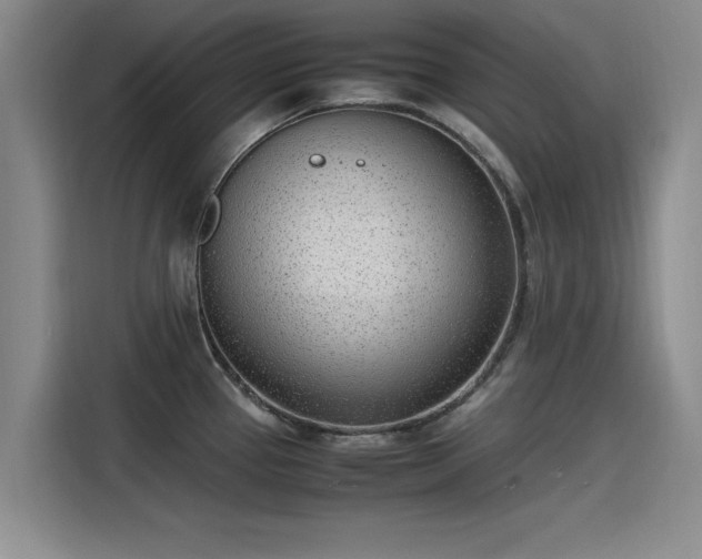 X0000115641337200911171414