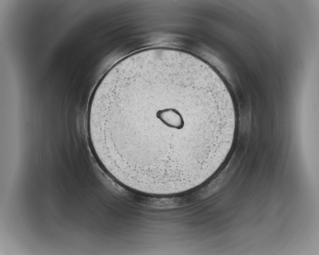 X0000115641338200911171414