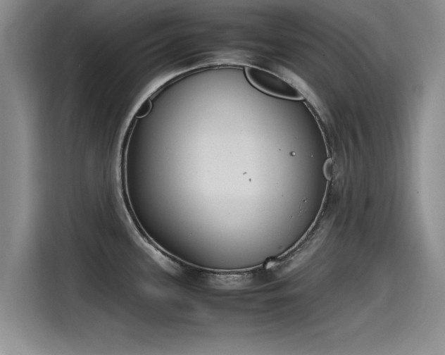X0000115641339200911171414