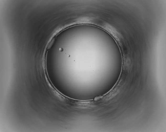 X0000115641342200911171414