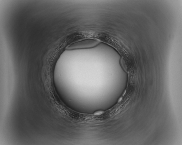 X0000115641345200911171414