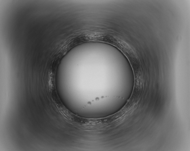 X0000115641346200911171414