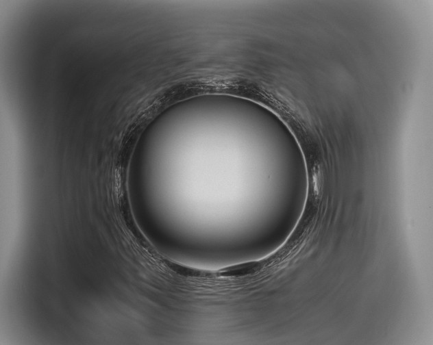 X0000115641347200911171414