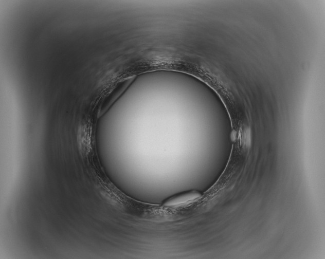 X0000115641348200911171414