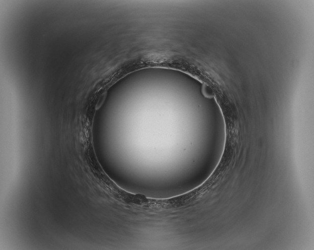 X0000115641349200911171414