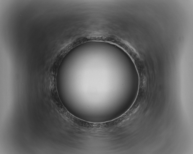 X0000115641350200911171414