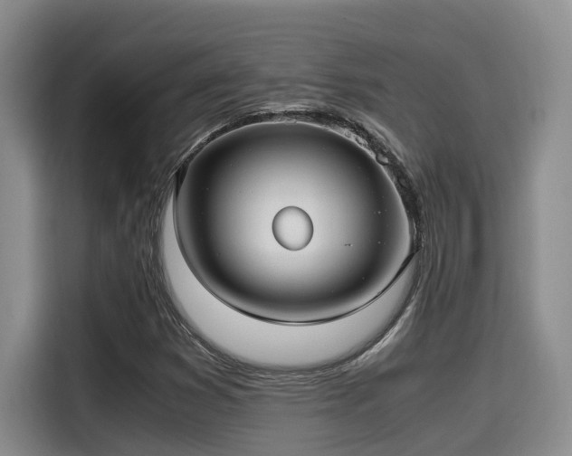 X0000115641353200911171414