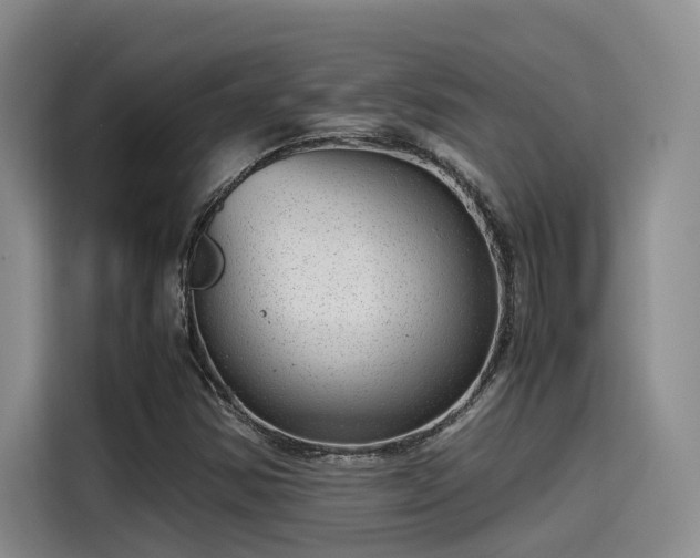 X0000115641354200911171414