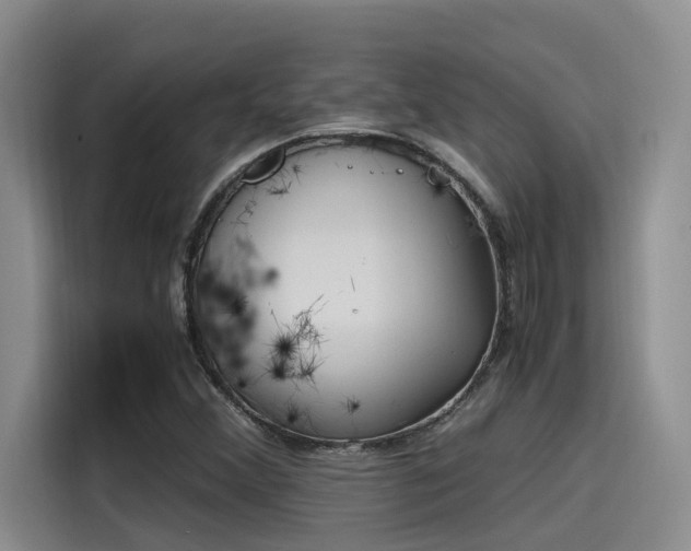 X0000115641356200911171414