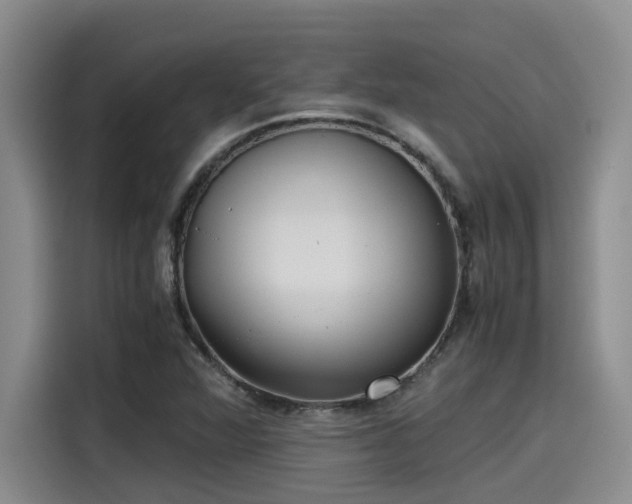 X0000115641360200911171414