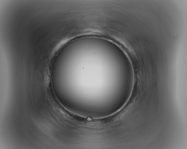 X0000115641363200911171414