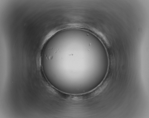 X0000115641365200911171414