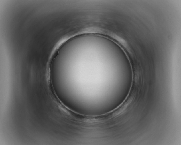 X0000115641366200911171414