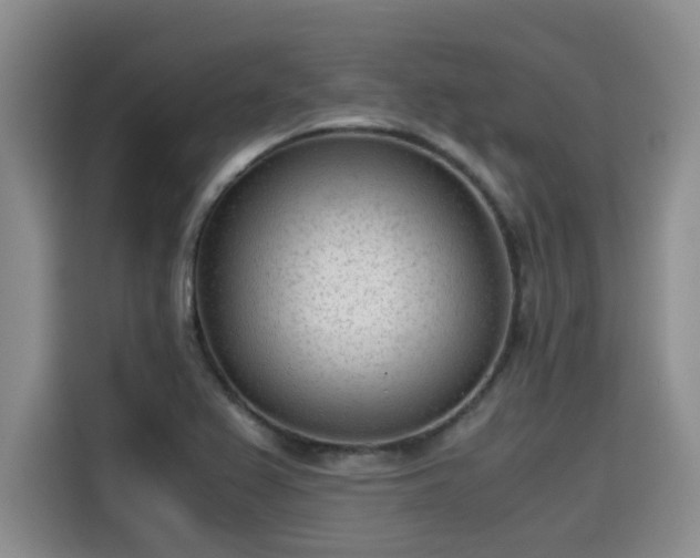 X0000115641367200911171414