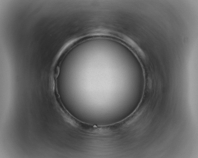 X0000115641368200911171414