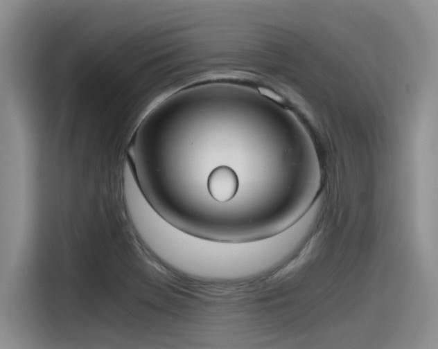X0000115641369200911171414