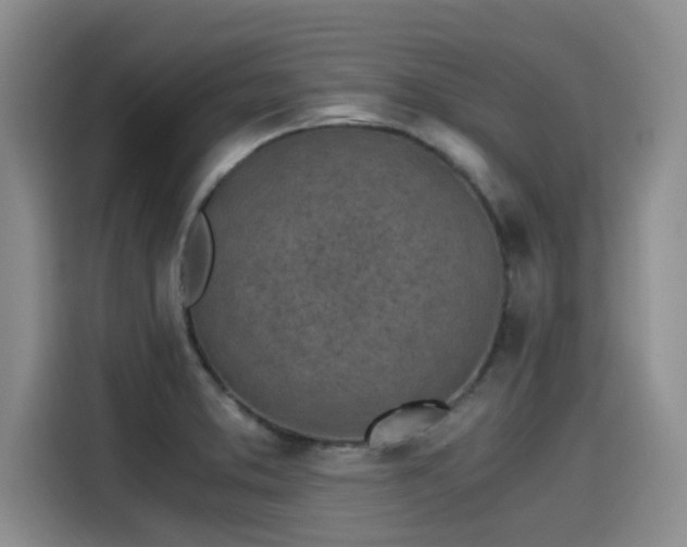 X0000115641373200911171413