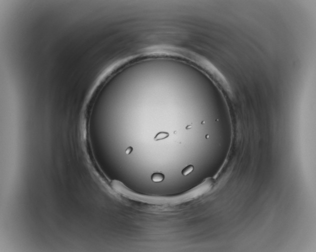 X0000115641376200911171413