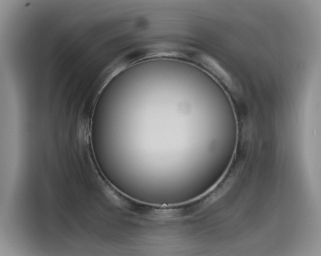 X0000115641377200911171413