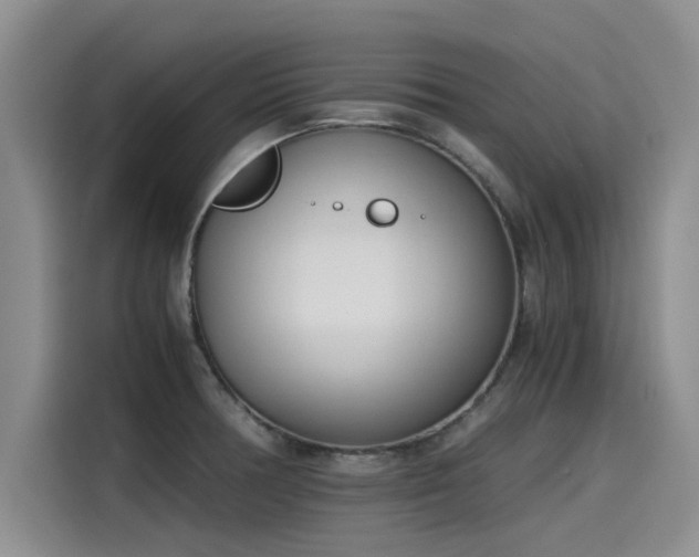 X0000115641378200911171413
