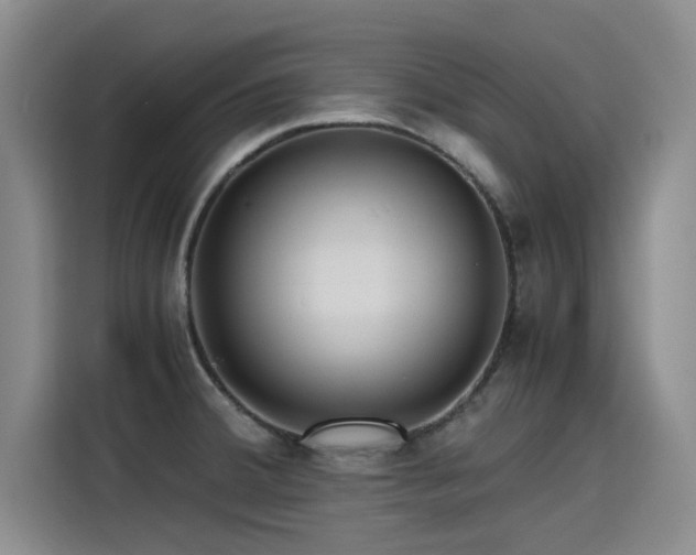 X0000115641380200911171413