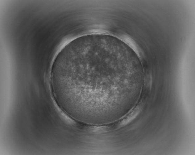 X0000115641381200911171413
