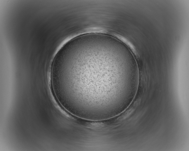 X0000115641383200911171413