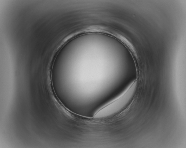 X0000115641384200911171413