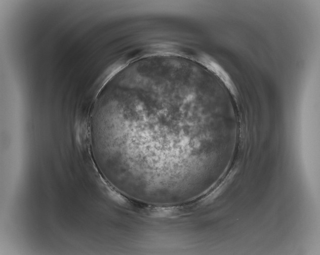X0000115641385200911171413