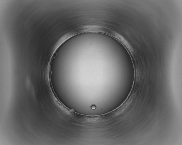 X0000115641386200911171413