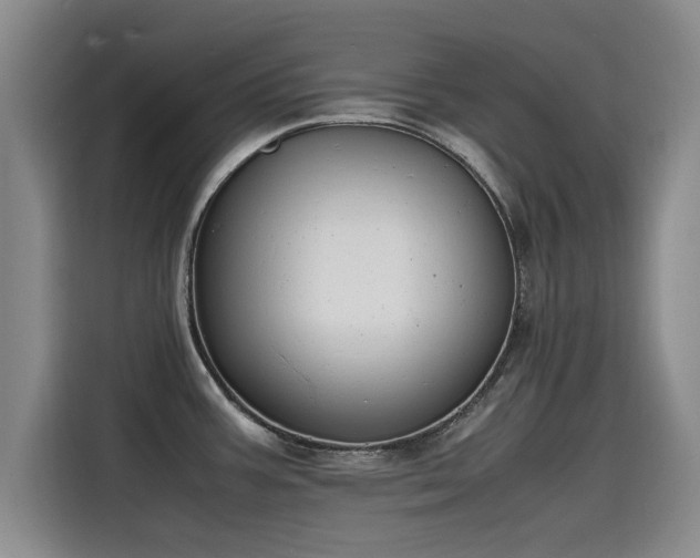 X0000115641387200911171413