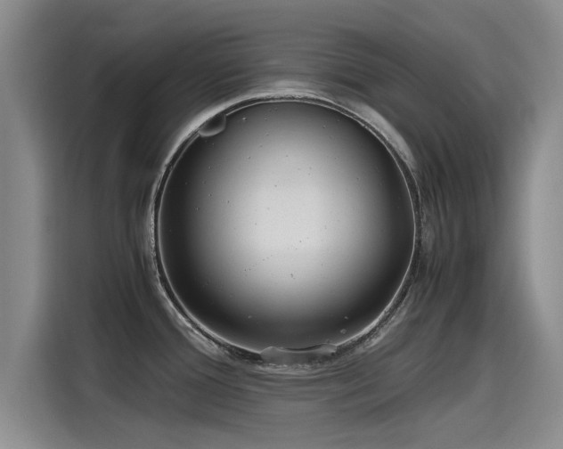 X0000115641388200911171413