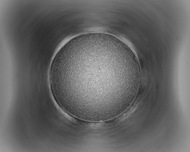 X0000115641389200911171413