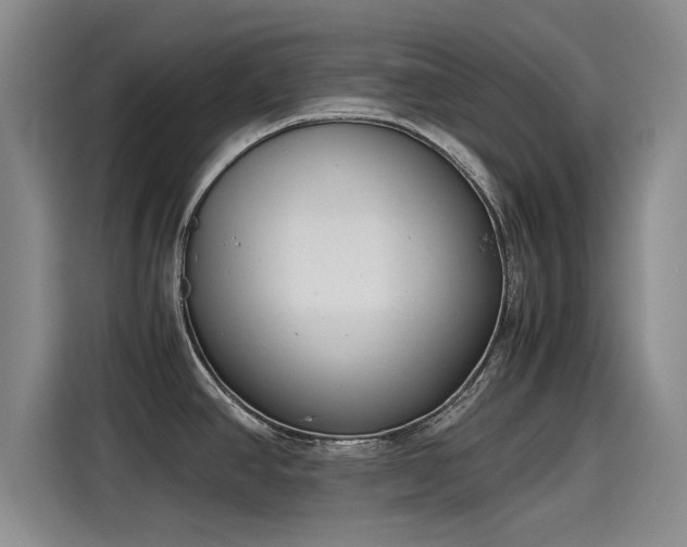 X0000115641390200911171413