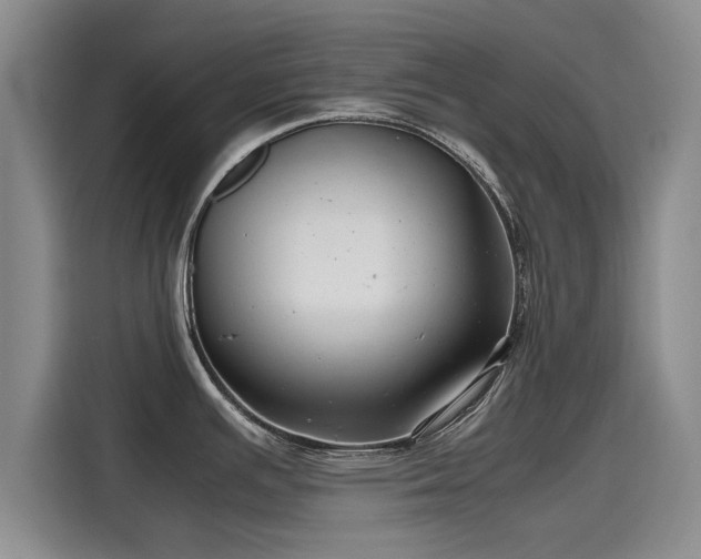X0000115641391200911171413