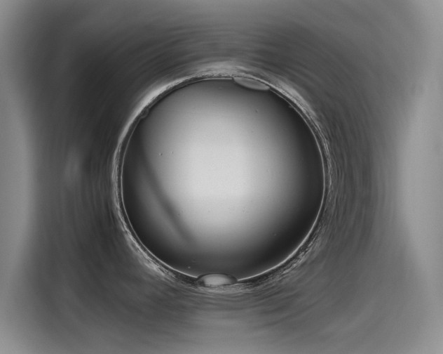 X0000115641392200911171413