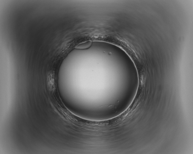 X0000115641396200911171413