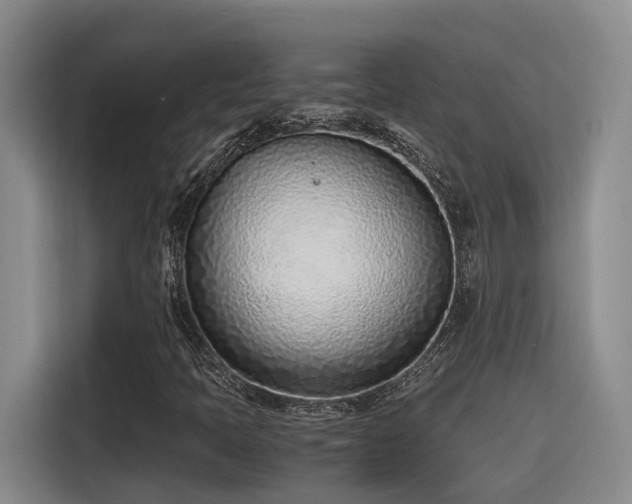 X0000115641397200911171413