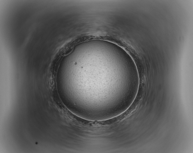 X0000115641398200911171413