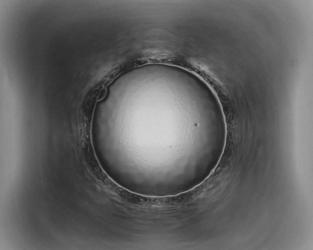 X0000115641399200911171413