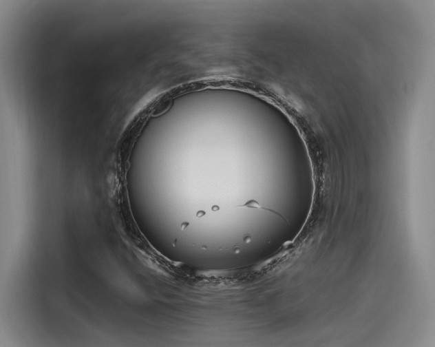 X0000115641400200911171413