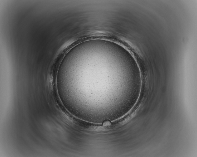 X0000115641402200911171413