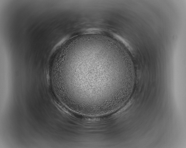 X0000115641403200911171413