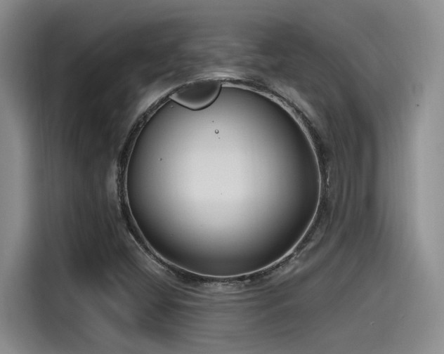X0000115641404200911171413