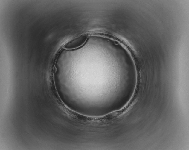 X0000115641405200911171413