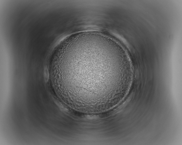 X0000115641407200911171413
