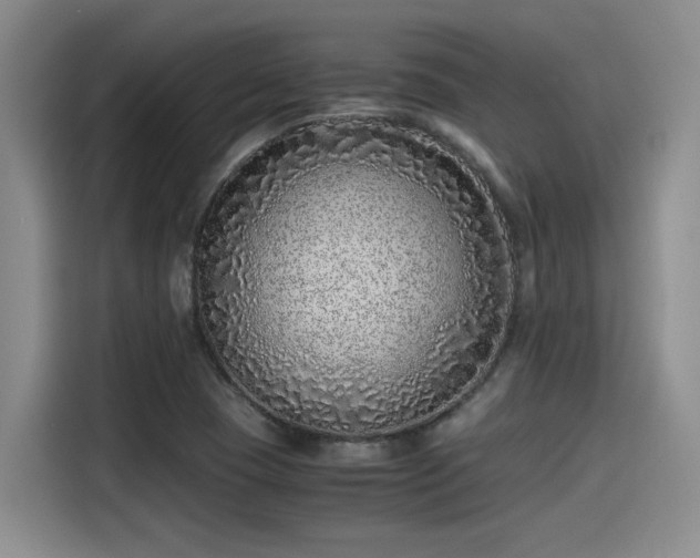X0000115641409200911171413