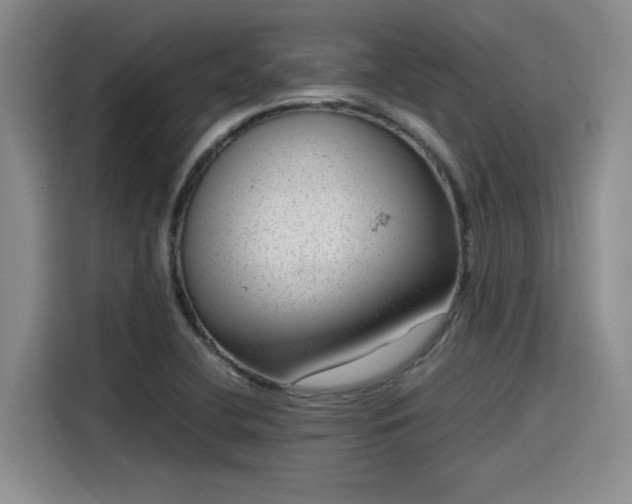 X0000115641412200911171413