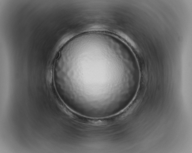 X0000115641413200911171413